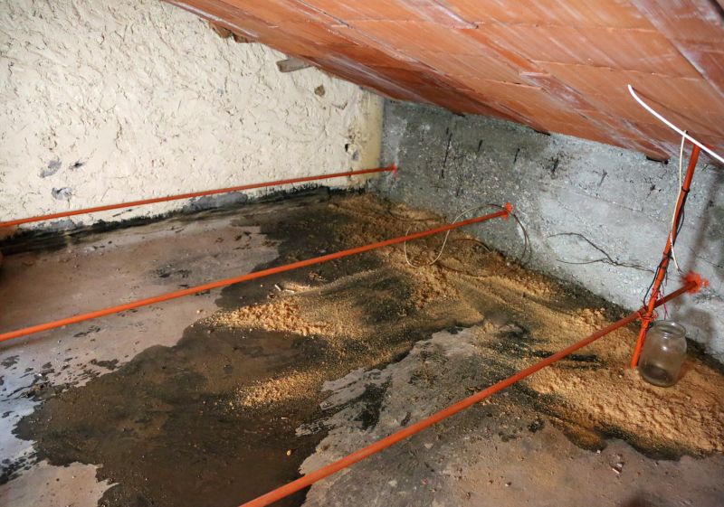 Inside Attic Damage