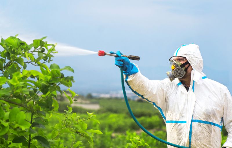 Commercial Fumigation in Kalamazoo, MI