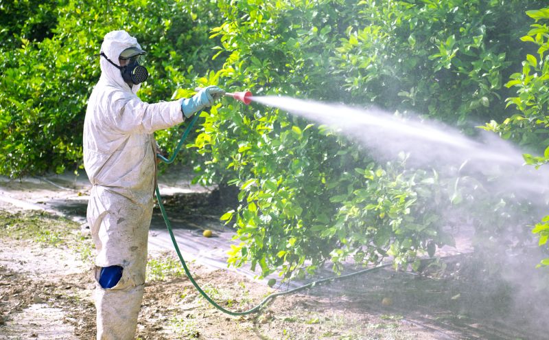 Commercial Fumigation in Gwinnett County, GA