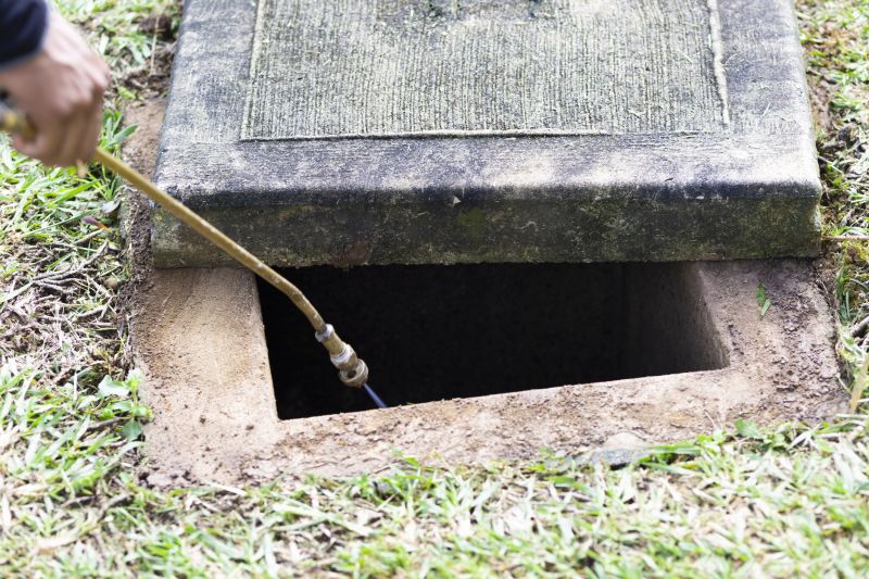 Rat Fumigation Service in Coeur D Alene, ID