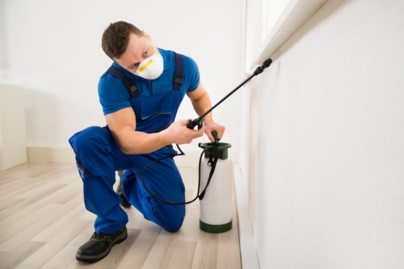 Ladybug Removal in Arlington, TX