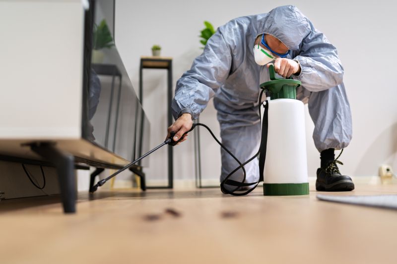 Rat Fumigation Service in Tampa, FL
