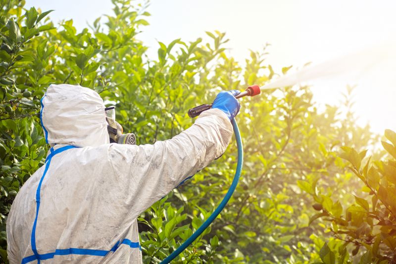 Spider Fumigation Service in Cumming, GA